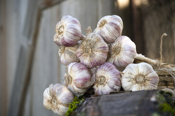 Bunch of garlic bulbs resting on wooden surface