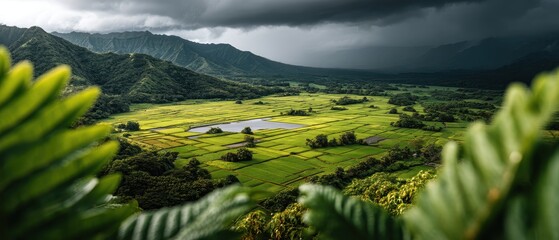 Obraz premium Tropics Tropical storm Remote concept. Vibrant landscape with rice fields under a moody sky.