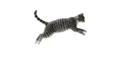 3D Realistic Gray Tabby Cat Jumping Transparent Background