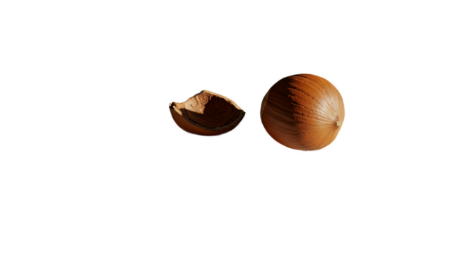 3D Realistic Hazelnut and Shell Fragment Warm Tones Isolated