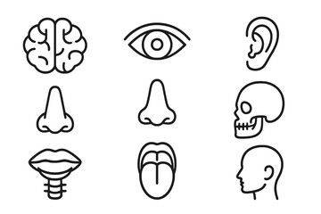 Set of 9 minimalist anatomy icons showing human head organs such as mouth, skull, and nose, ideal for science, healthcare, and anatomy illustration.
