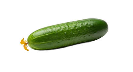 Fresh Green Cucumber Isolated on Green Background Realistic Photo