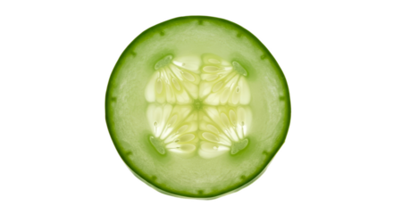 Fresh Green Cucumber Slice Top View Macro Realistic Photo Transparent Background
