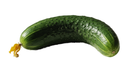 Fresh Green Cucumber with Water Droplets on a Gradient Background