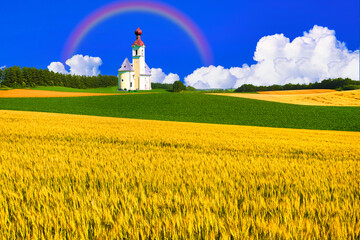 ボヘミア地方の美しい菜の花畑と教会合成