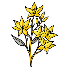 yellow flowers isolated on white background