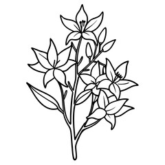 bouquet of flowers isolated on white