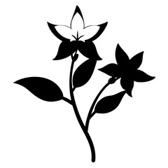 black and white flower