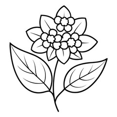 black and white flower