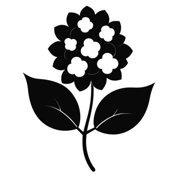 black and white hydrangea flower silhouette clip art preview
