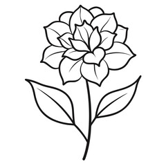 rhododendron flower line art on white background