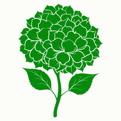 limelight hydrangea flower  silhouette on white background