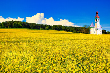 ボヘミア地方の美しい菜の花畑と教会合成