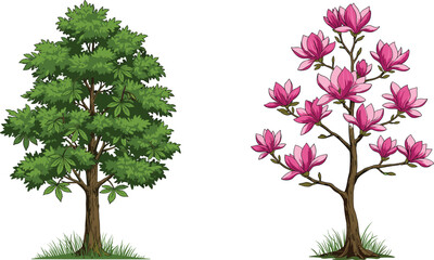 Obraz premium Green tree, pink flowering tree, botanical contrast, seasonal diversity, nature illustration, isolated trees, foliage, blossoms, cad drawing flat vector illustration