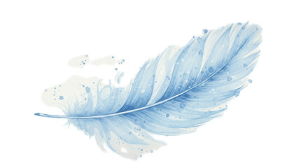 Blue Feather Detailed Realistic Photo Isolated On White Background