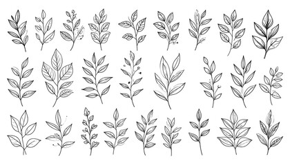 Ink-style foliage elements on black; twenty stylized leaf sprigs of varied shapes, scattered in a loose grid