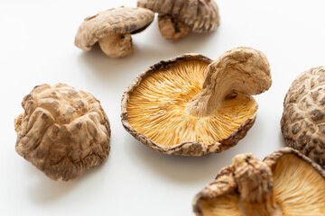 干し椎茸　乾燥椎茸　白背景