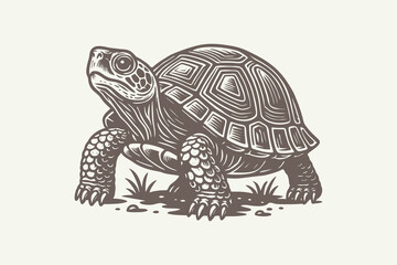 lineart illustration of a turtle walking