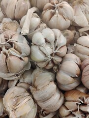 garlic on market
