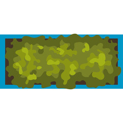 Green Bush Plant Top View Flat Design Illustration With Transparent Background In Blue Frame