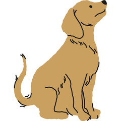 Golden Retriever Puppy Sitting and Looking Upward with Simple Outline Style Against Transparent Background