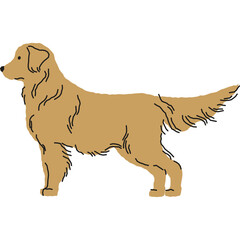 Golden Retriever Dog Standing Profile View Simple Flat Illustration Tan Color with Outline on White Background