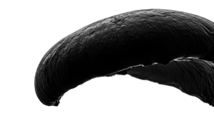 Close up of a textured dark gray curved surface with bright edge lighting