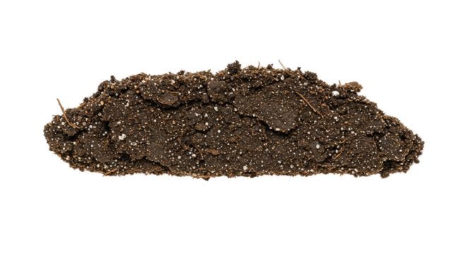 Close Up Realistic Macro Photo Of Dark Coffee Beans Pile With Golden Sparkles