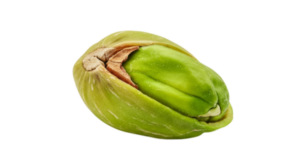 Close-up Realistic Photo Of A Vibrant Green Pistachio Nut With A Light Green Background