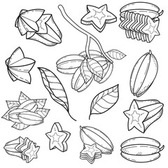 Star Fruit Carambola Line Art Illustrations Collection. Tropical Exotic Fruit Outline Drawing Set.