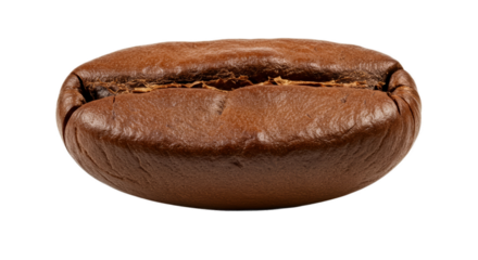 Detailed Realistic Coffee Bean Macro Isolated Brown Background