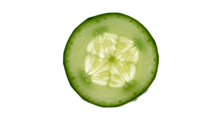 Cucumber Slice Macro Close Up Green Abstract Isolated Food Vegetable