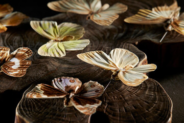 butterfly on black background