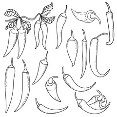 Hand-Drawn Chili Pepper Collection: Spicy Vegetable Line Art Illustration Set