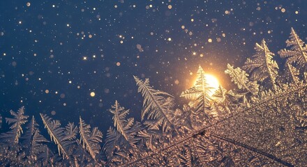 Winter frost patterns illuminated by warm light