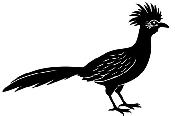 hoatzin silhouette vector  illustration