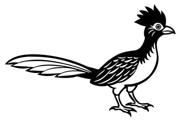 hoatzin silhouette vector  illustration