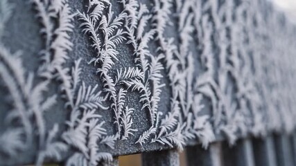 Frost patterns on metal fence captured in crisp winter morning transition - Powered by Adobe