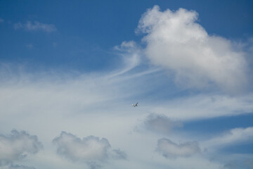 SIngle small plane flying
