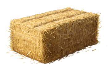Hay Bale Farm Agriculture Harvest Countryside Rural Scene Straw Field Backdrop