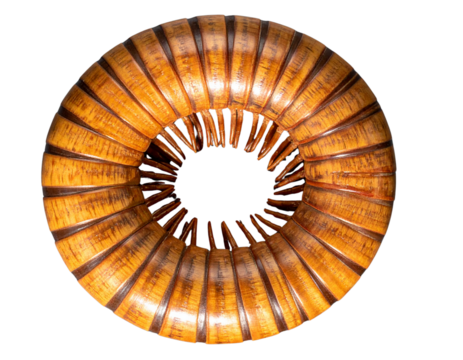 Realistic Wooden Millipede Sculpture, Top-Down View, isolated on transparent background