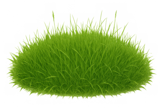 Lush green grass patch growing on transparent background representing nature and ecological growth