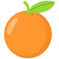 illustration of orange fruit