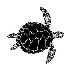 Fototapeta premium Green sea turtle vector illustration swimming underwater near a tropical coral reef