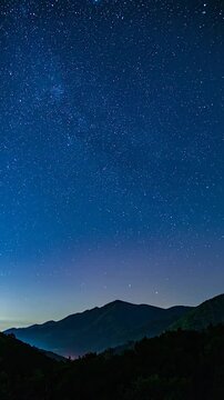 Vast dark blue night sky illuminated by innumerable stars, hovering above silhouetted mountains and trees