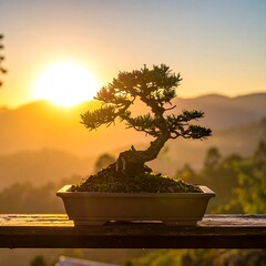 Serene bonsai tree bathed in warm sunlight with mountain backdrop