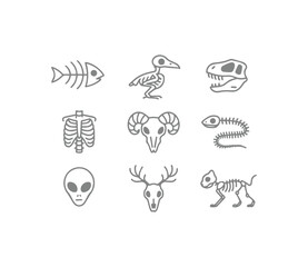 Skeletal outline collection diverse animals human and alien forms presented