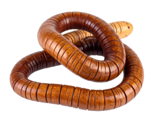Side-Angle Wooden Earthworm Figurine, Coiled Pose, isolated