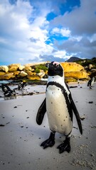 Up-close view of a penguin on a sandy beach, other penguins visible