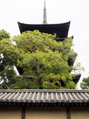 Five-storied padoga of Toji Temple